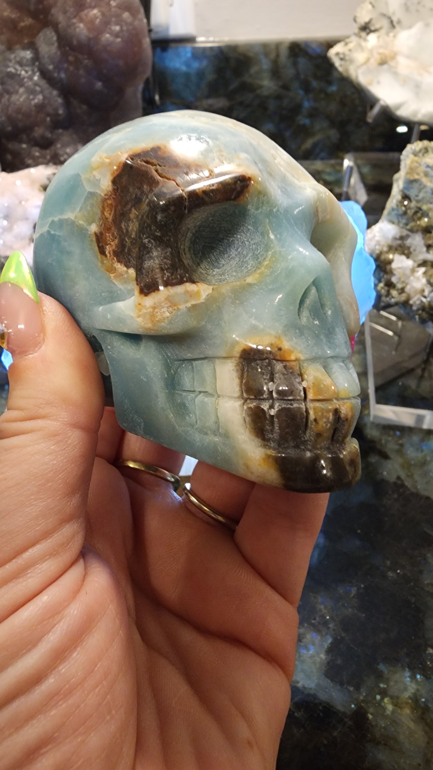 Caribbean Calcite Skull