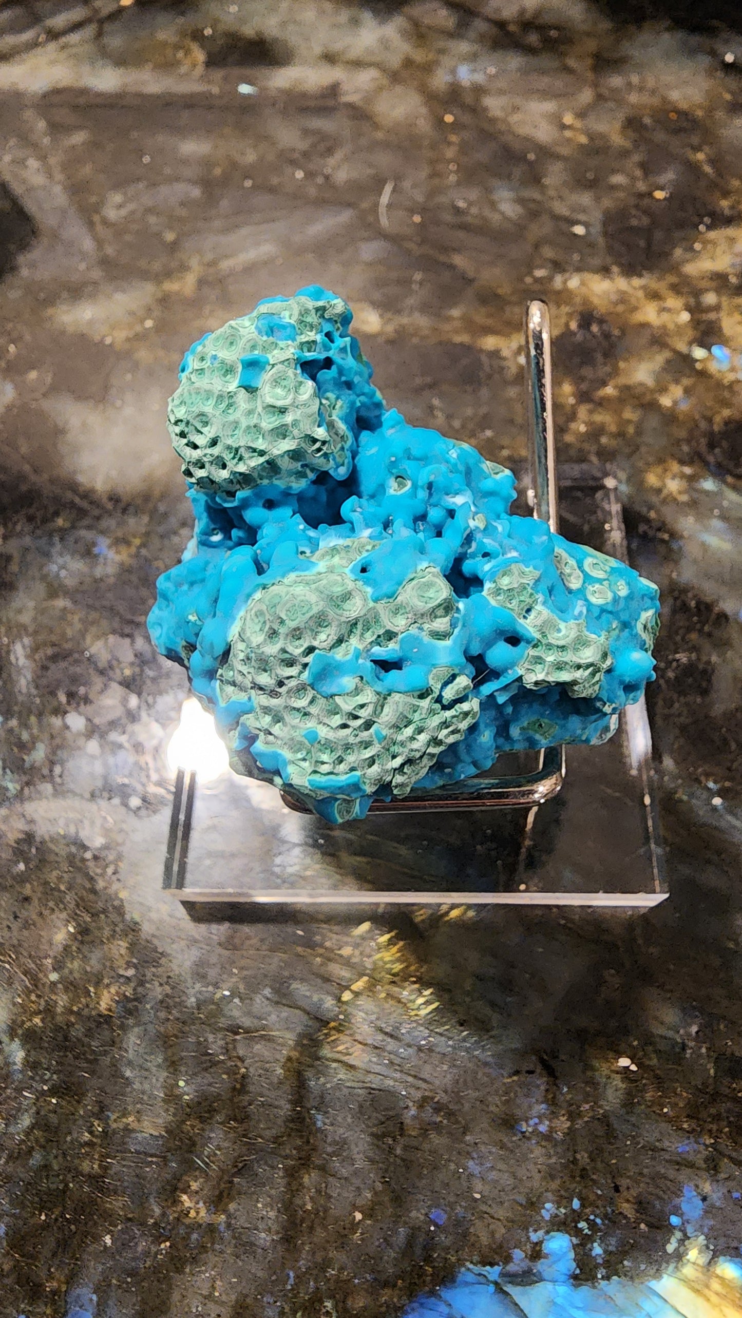 Chrysocolla B65