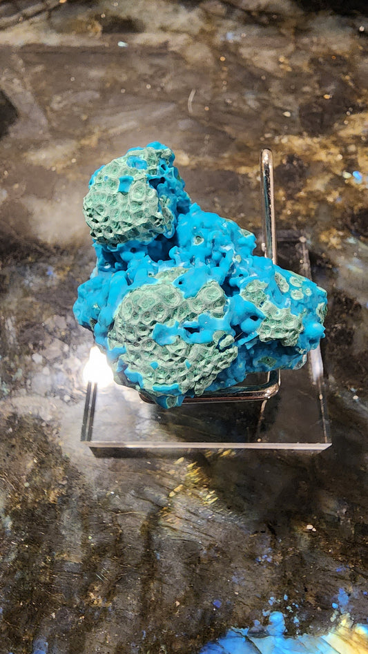 Chrysocolla B65