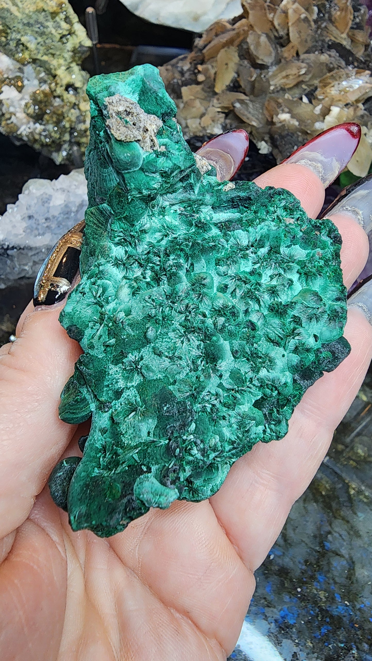 Velvet Malachite Specimen F90