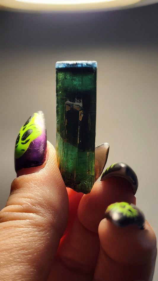 Blue Cap Indicolite Tourmaline