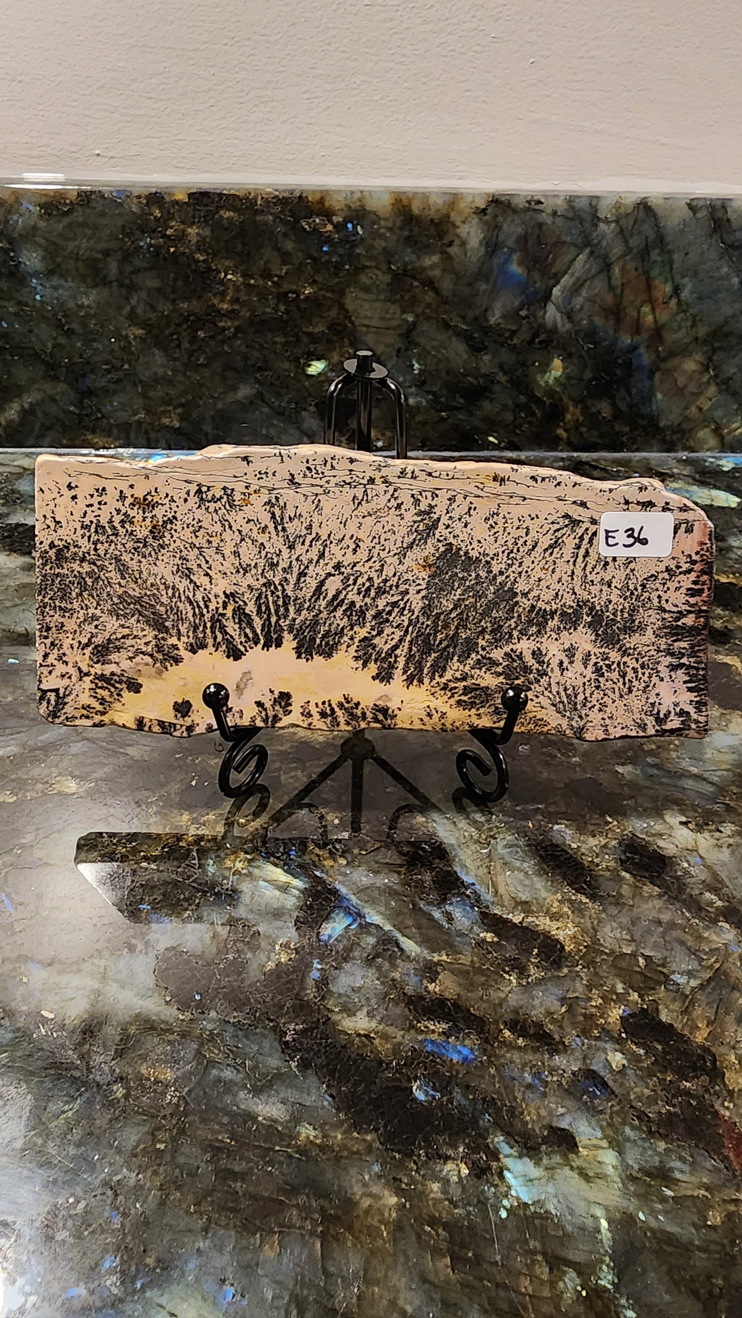 Picture Stone Jasper Slab w Stand E36