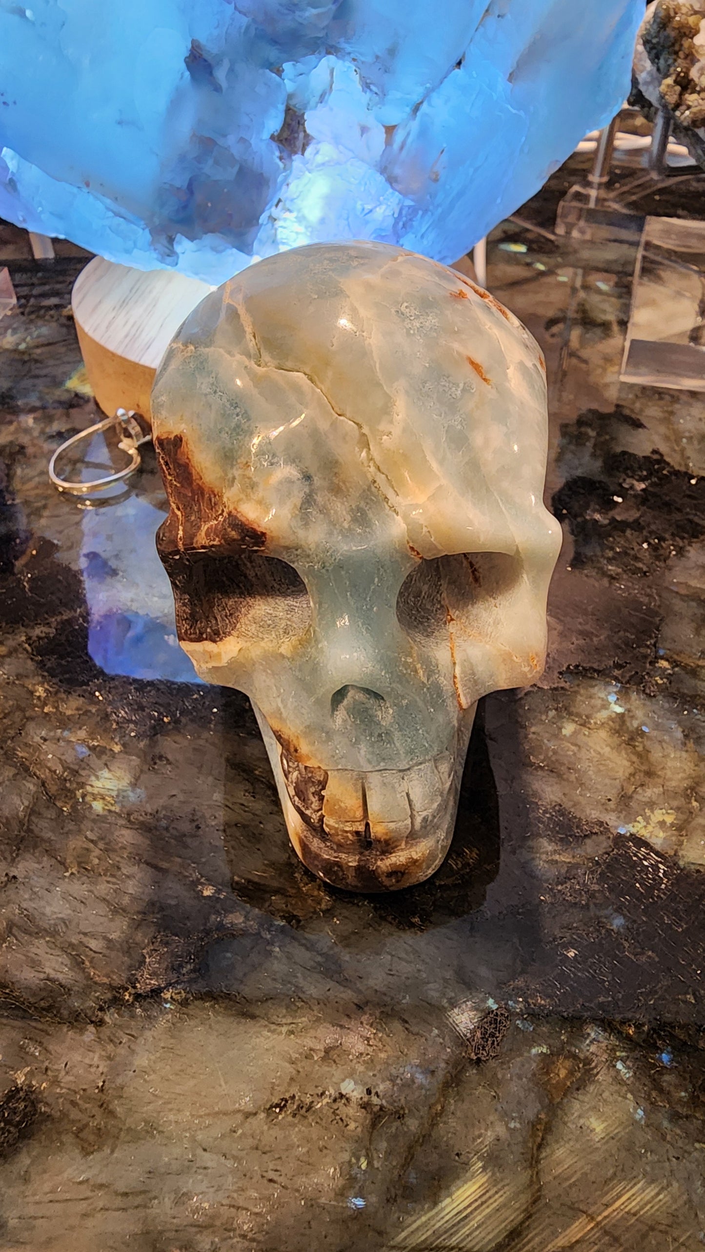 Caribbean Calcite Skull