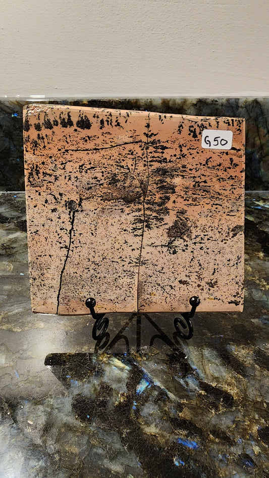 Picture Stone Jasper Slab w Stand G50